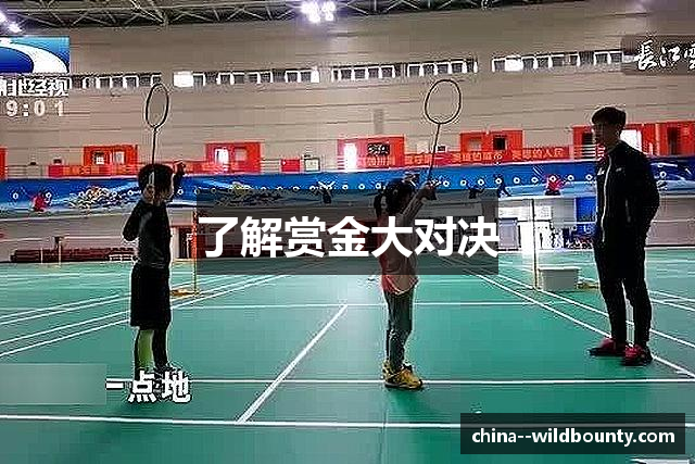 了解赏金大对决